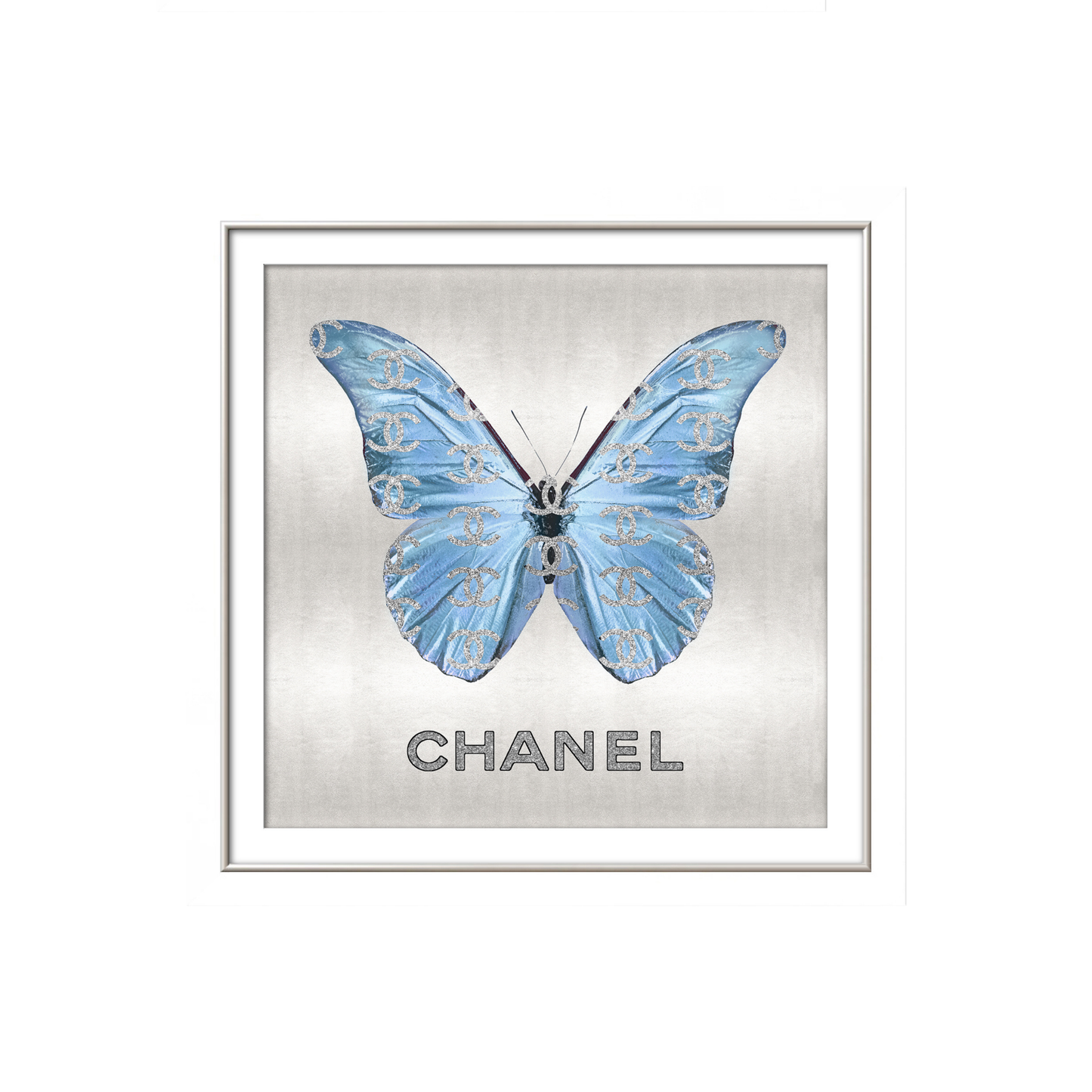 BUTTERLFLY I CHANNEL